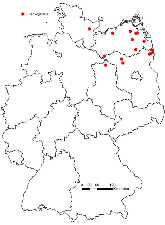 01 Umweltfachgutachten